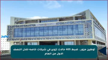 توطين مزور.. ضبط 405 حالات تزوير في شركات خاصة خلال النصف الأول من العام